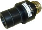 flame eye viewing head1